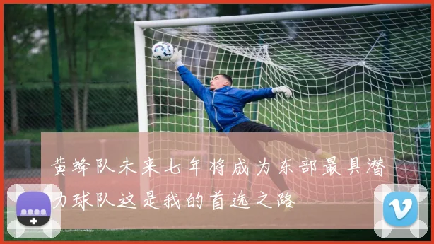 黄蜂队未来七年将成为东部最具潜力球队这是我的首选之路