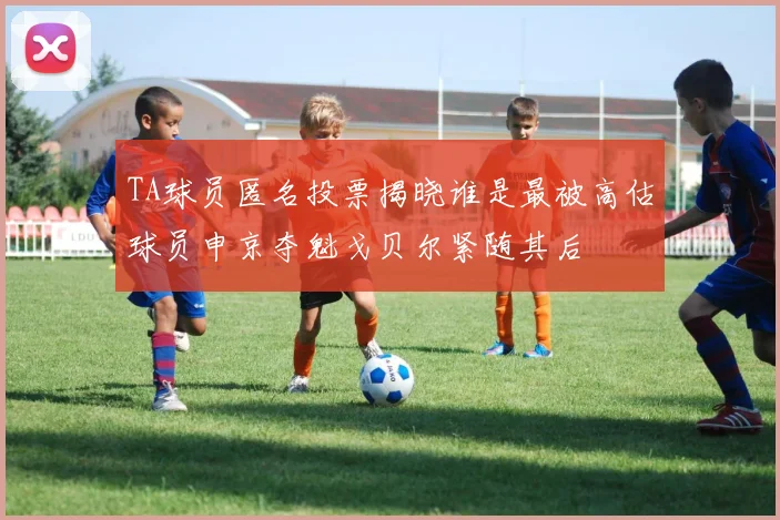 TA球员匿名投票揭晓谁是最被高估球员申京夺魁戈贝尔紧随其后